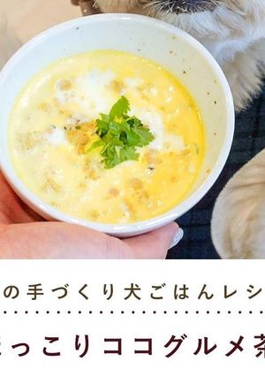 犬ご飯/ほっこりココグルメ茶碗蒸し-レシピのメイン写真