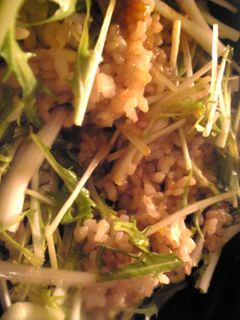 水菜とヤマブシタケの卵ご飯-レシピのメイン写真