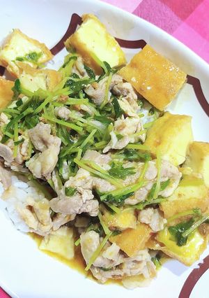 麻婆厚揚げ丼-レシピのメイン写真