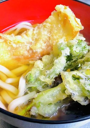 【天ぷらうどん】ちくわ天・菜の花天-レシピのメイン写真