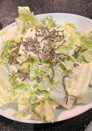 簡単！白菜シャキシャキサラダ-レシピのメイン写真