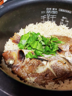 鯛めし-レシピのメイン写真