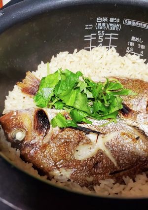 鯛めし-レシピのメイン写真