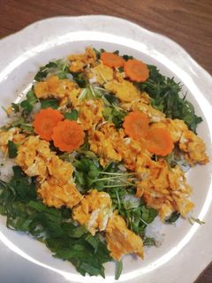 ひな祭り 節約ちらし寿司-レシピのメイン写真