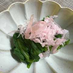 รูปของ 春色！春菊のお浸し