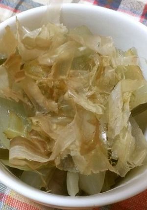 ナスと玉ねぎの煮びたし-レシピのメイン写真