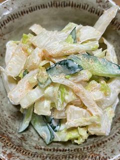 白菜と明太子のサラダ-レシピのメイン写真