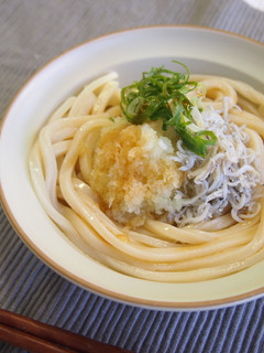 【だししょうゆ】しらすおろしうどん-レシピのメイン写真