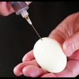 限界最速で作る味玉『麻薬たまご』の作り方