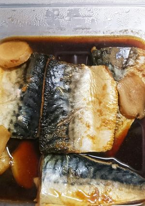 塩鯖の醤油煮-レシピのメイン写真
