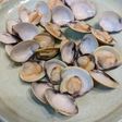 料理酒だけで作るはまぐりの酒蒸し
