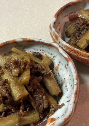 肉ごぼう-レシピのメイン写真
