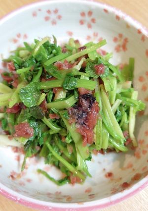 セリの梅おかか和え✿春の香り-レシピのメイン写真