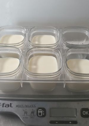 豆乳ヨーグルト　ガラスの保温器-レシピのメイン写真