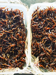 簡単失敗しないイカナゴ釘煮-レシピのメイン写真