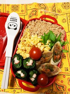 3/7よっちゃんそぼろ弁当 隙間に海苔巻-レシピのメイン写真