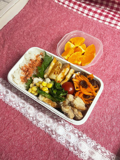 20230307娘ちゃんのお弁当-レシピのメイン写真