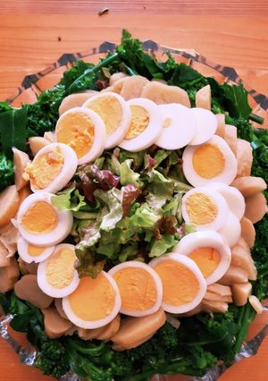 あるもので！野菜サラダ-レシピのメイン写真