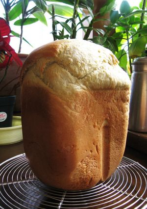 青汁で健康食パン! HB(早焼き)-レシピのメイン写真