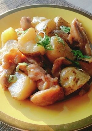 天然だし★鶏モモ肉と新じゃが★基本の煮物-レシピのメイン写真