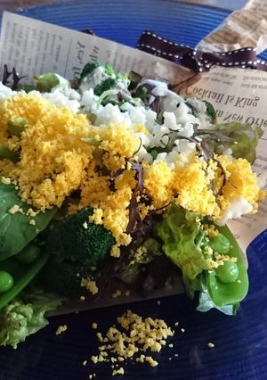 ミモザサラダ-レシピのメイン写真