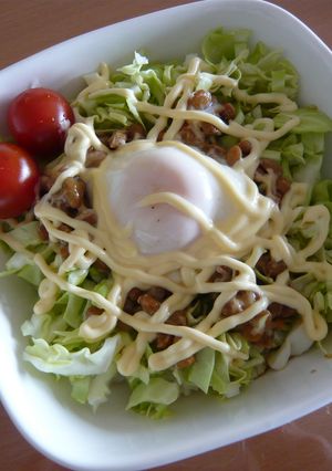 ざくざく納豆丼-レシピのメイン写真