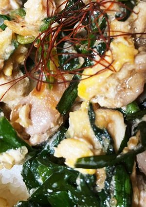 ワンパン豚肉豆腐入り栄養満点ニラ玉-レシピのメイン写真