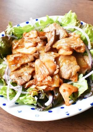 焼肉サラダ（薩摩焼肉のたれ）-レシピのメイン写真