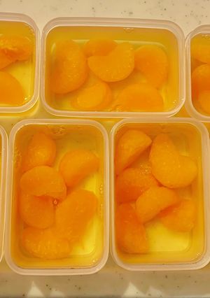 イナアガーでみかん缶ゼリー-レシピのメイン写真