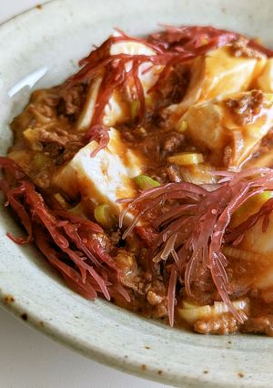海藻がとろみに！塩蔵 生みりんの麻婆豆腐-レシピのメイン写真