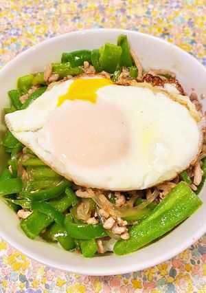 コストコのプルコギの素★ピーマンひき肉丼-レシピのメイン写真