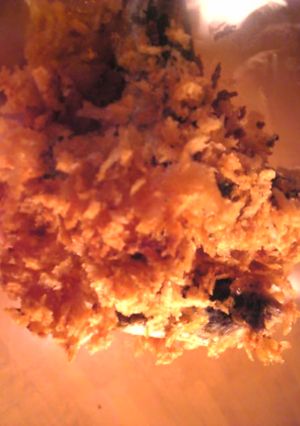 鰯のカレーフライ-レシピのメイン写真