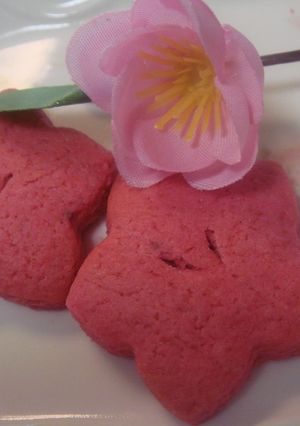 ✿桃の花✿可愛いひな祭りクッキー-レシピのメイン写真