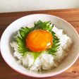 黄身の味噌漬け