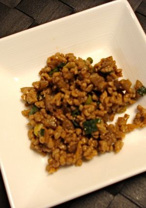 うちの常備菜☆肉みそごぼう☆-レシピのメイン写真