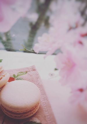 桜マカロン-レシピのメイン写真