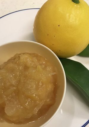 日向夏のさわやかマーマレード♪♪-レシピのメイン写真