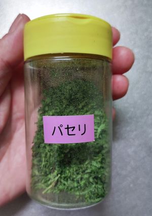 パセリの保存に☆レンジで簡単乾燥パセリ-レシピのメイン写真