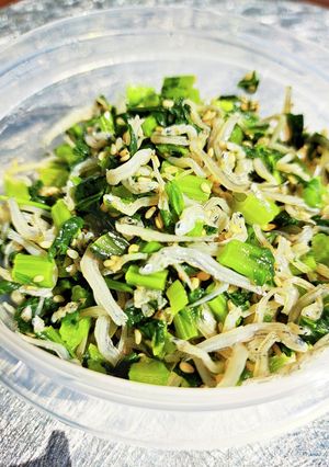 栄養たっぷり☆大根葉とちりめんふりかけ-レシピのメイン写真