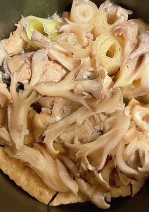 鯖缶で☆厚揚げとねぎの簡単煮-レシピのメイン写真