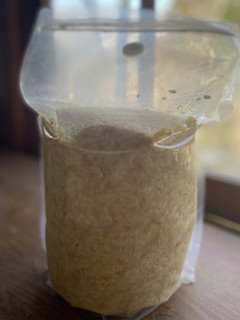 簡単!大豆の水煮で手作り味噌作り-レシピのメイン写真