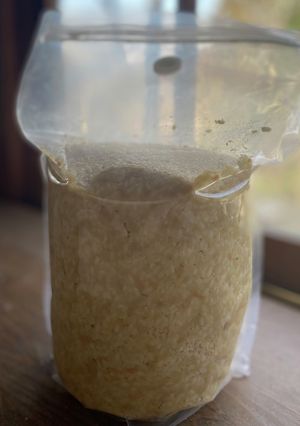 簡単！大豆の水煮で手作り味噌作り-レシピのメイン写真