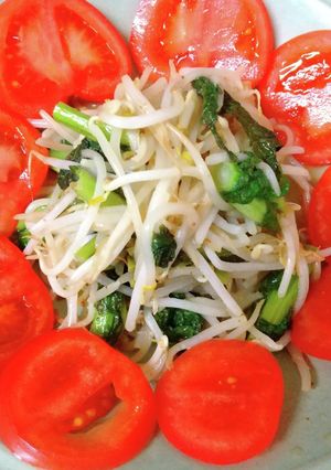もやしと菜の花のマスタード炒め-レシピのメイン写真