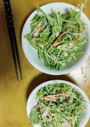 水菜と人参のツナサラダ-レシピのメイン写真