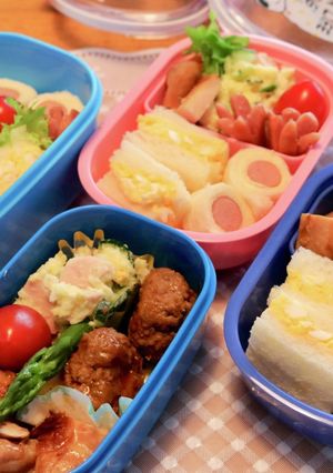 遠足のお弁当♪-レシピのメイン写真