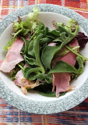 アイスプラントとベーコンのサラダ♪-レシピのメイン写真
