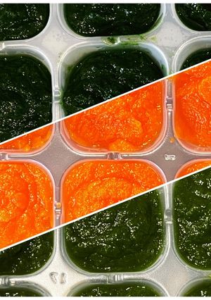簡単ほうれん草にんじんペースト離乳食初期-レシピのメイン写真