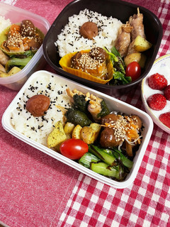 20230316娘ちゃんのお弁当-レシピのメイン写真