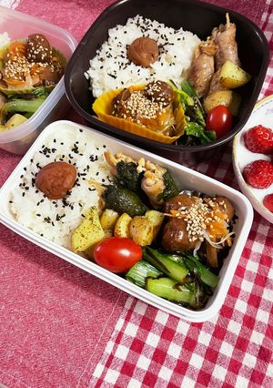 20230316娘ちゃんのお弁当-レシピのメイン写真