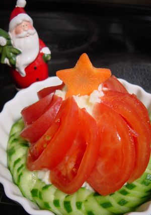 2009☆トマトの赤いミニツリーサラダ-レシピのメイン写真